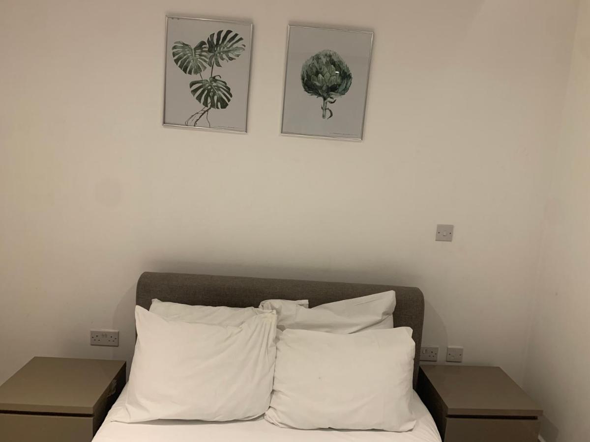 2 Bedroom 2 Bath 1 Ensuite In Roya Asenal Beautiful Views & Parking ลอนดอน ภายนอก รูปภาพ